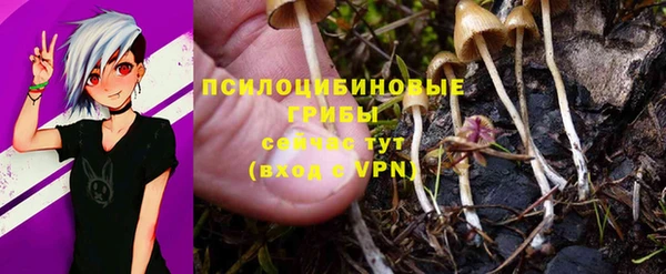 apvp Баксан
