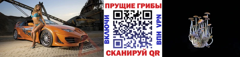 закладка  Венёв  Галлюциногенные грибы ЛСД 