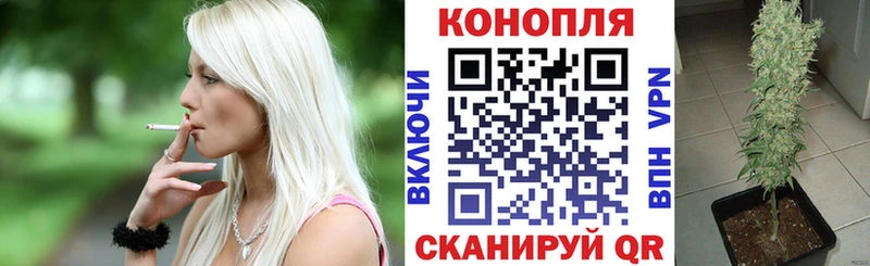 Каннабис гибрид Венёв